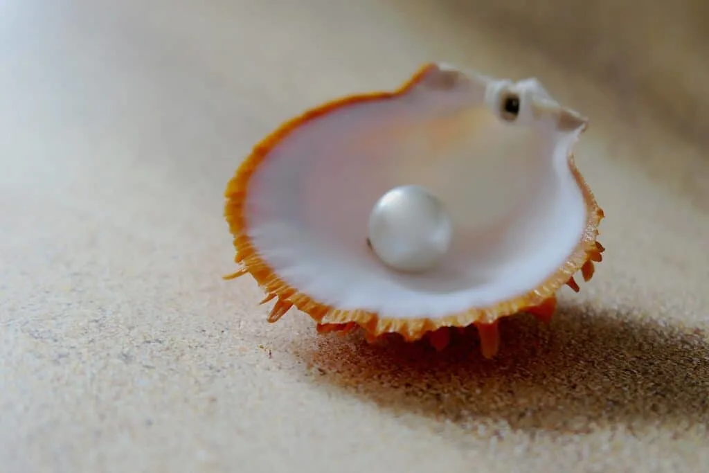 Pearls - Organic Gems from Ocean