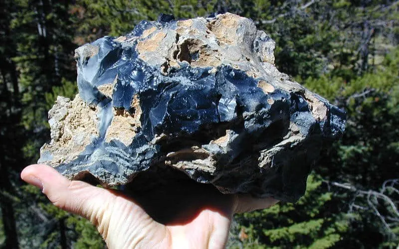Founded Obsidian in Wyoming