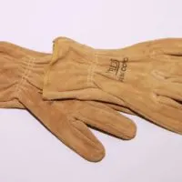 Best gloves for rockhounding