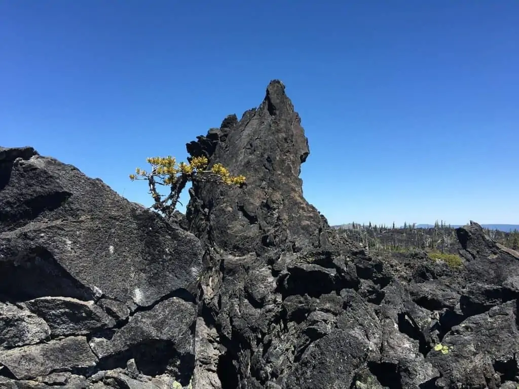 Volcanic Rock - Obsidian