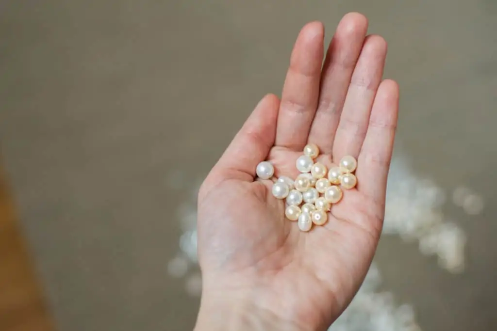 Freshwater pearls are often founded in Kentucky
