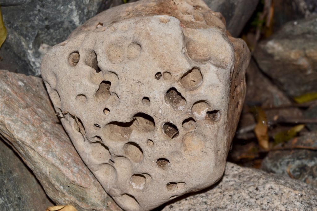 What Kind of Rocks Have Holes in Them?