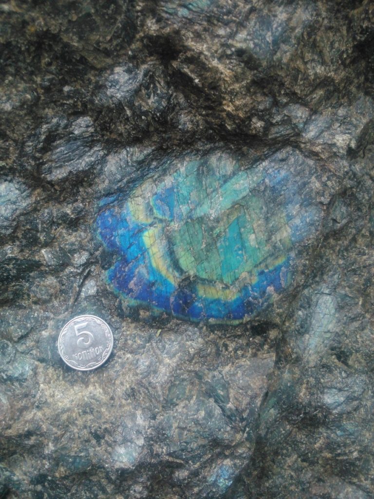 Labradorite (spectrolite) from Korosten Pluton, Ukrainian Shield, Ukraine (coin diameter is 24 mm) Photo: O. Rybnikova