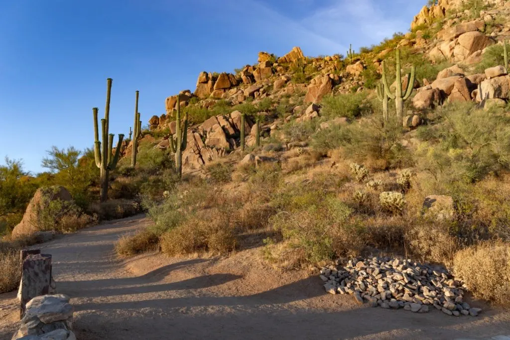 Rockhounding in Desert