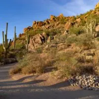 Rockhounding in Desert