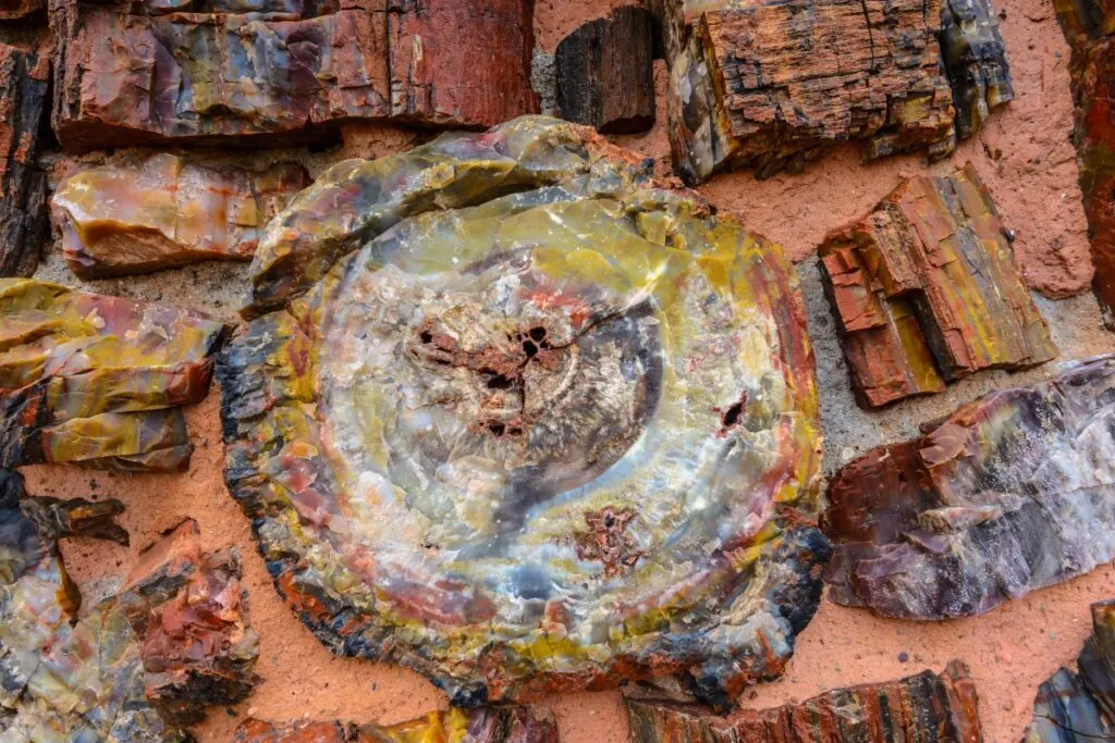 How to Tell if Petrified Wood is Real or Fake