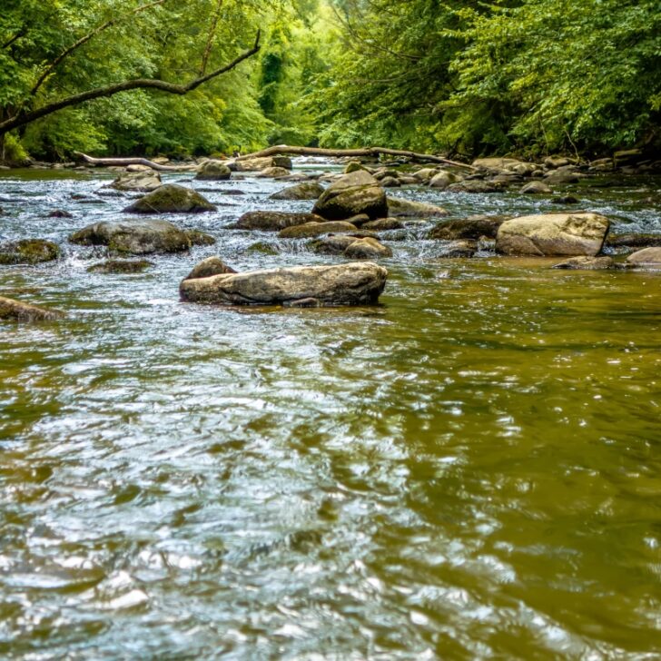 Gold Prospecting In South Carolina: 7 Best Locations & Laws – How To 