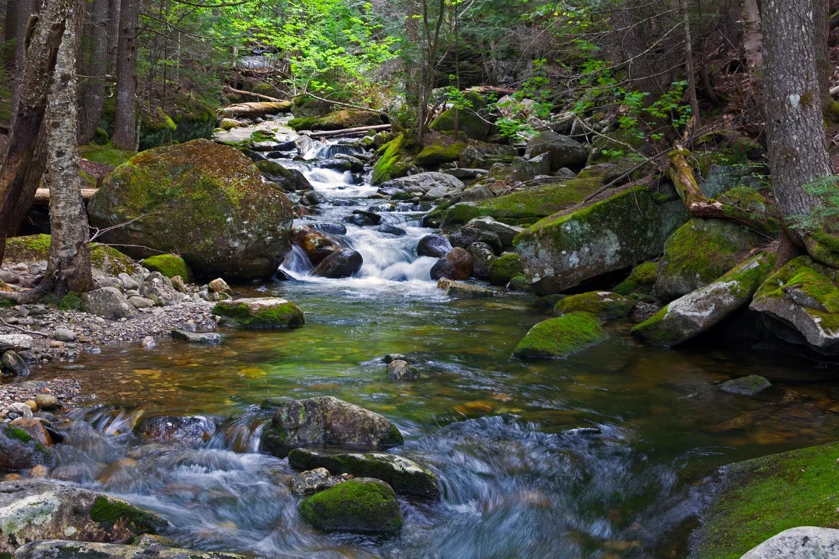 Gold Prospecting in New Hampshire